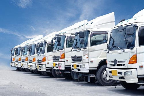 網絡貨運申報成本高企與合規之路 百萬門檻與程序迷宮的挑戰