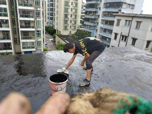 惠州市博羅外墻高空補漏 專業(yè)防水補漏工程公司的技術實踐